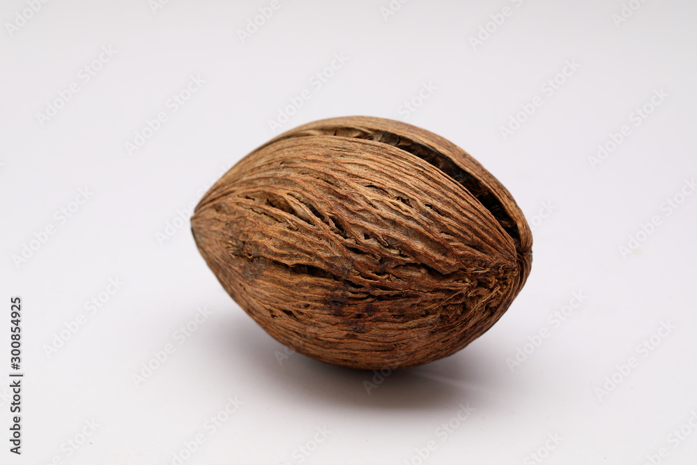 Cerbera odollam,pong pong seed Cerbera odollam,pong pong seed