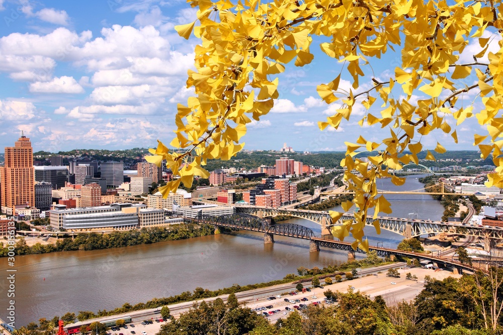Pittsburgh city. Autumn leaves.