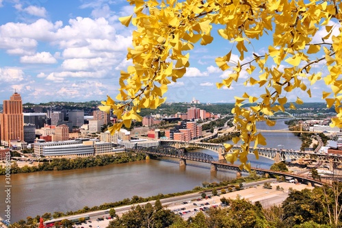 Obraz na płótnie Pittsburgh city. Autumn leaves. w salonie
