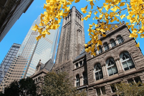 Pittsburgh. Autumn leaves. photo