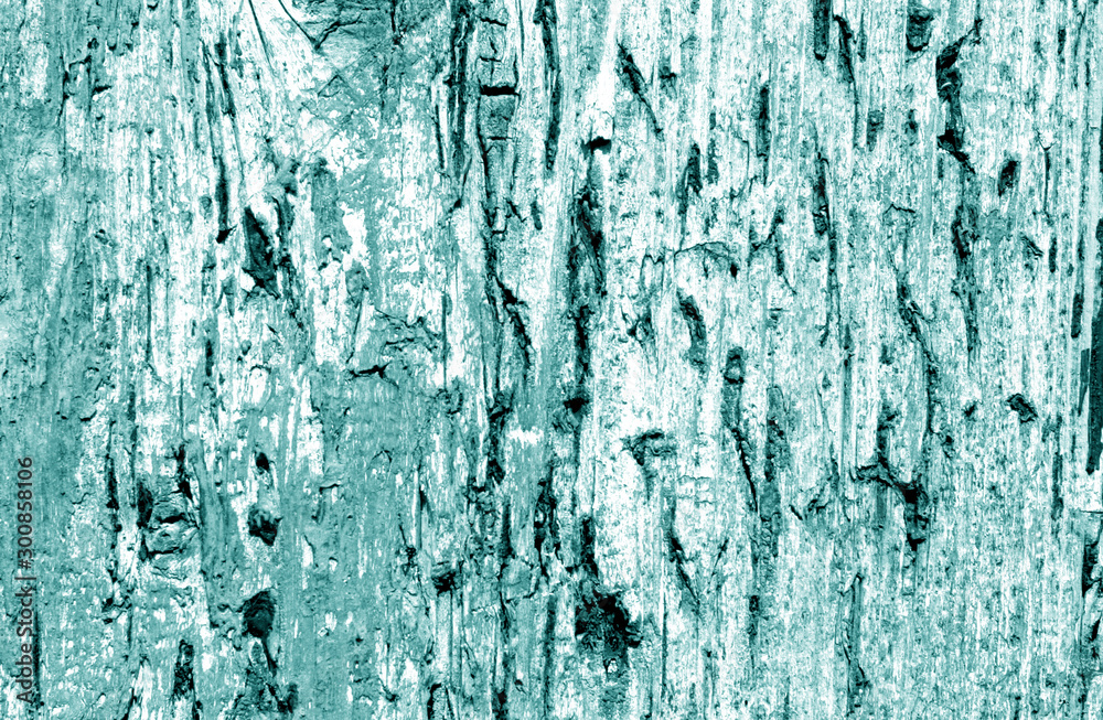 Fototapeta premium Grunge weathered wooden plank surface in cyan tone.