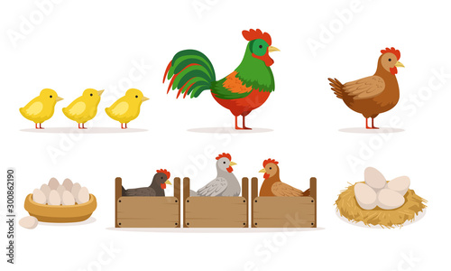 Poultry Farm With Hens In Crates, Rooster, Eggs And Chickens Vector Illustration Set Isolated On White Background