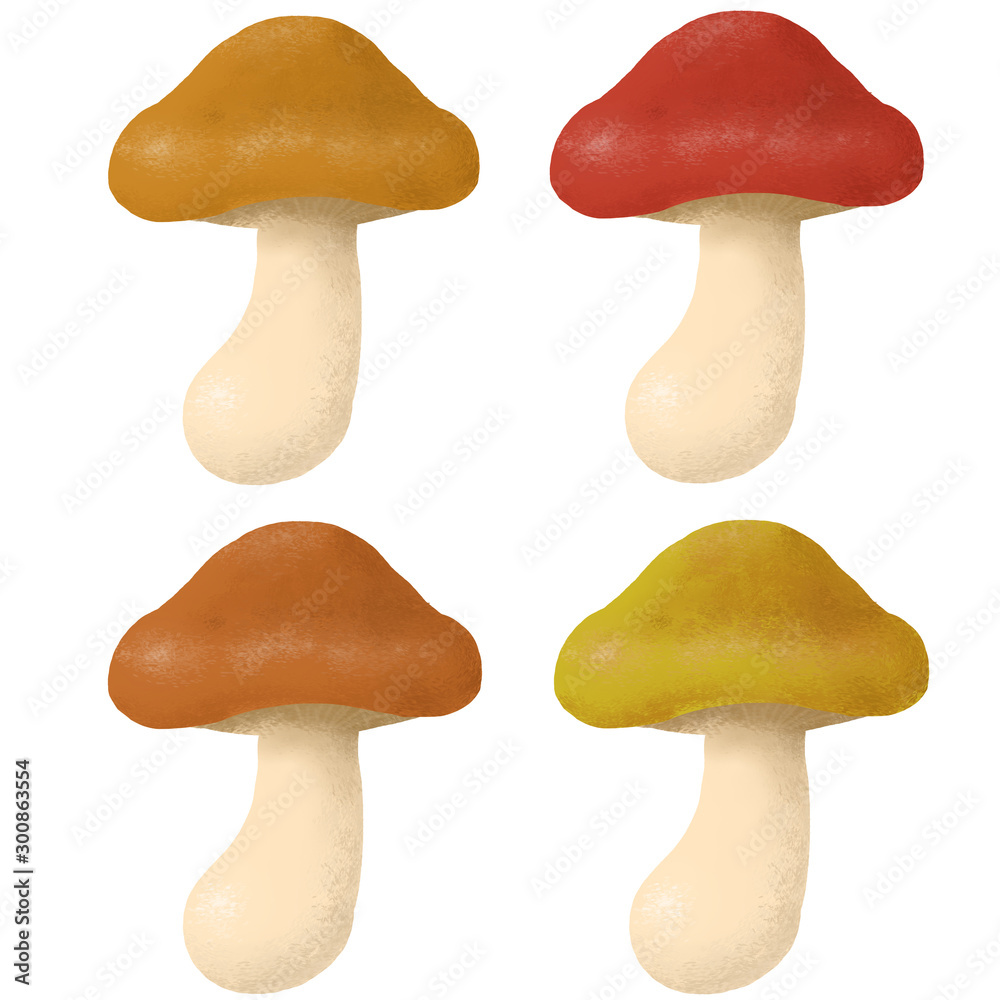 Fototapeta premium きのこ キノコ きのこセット