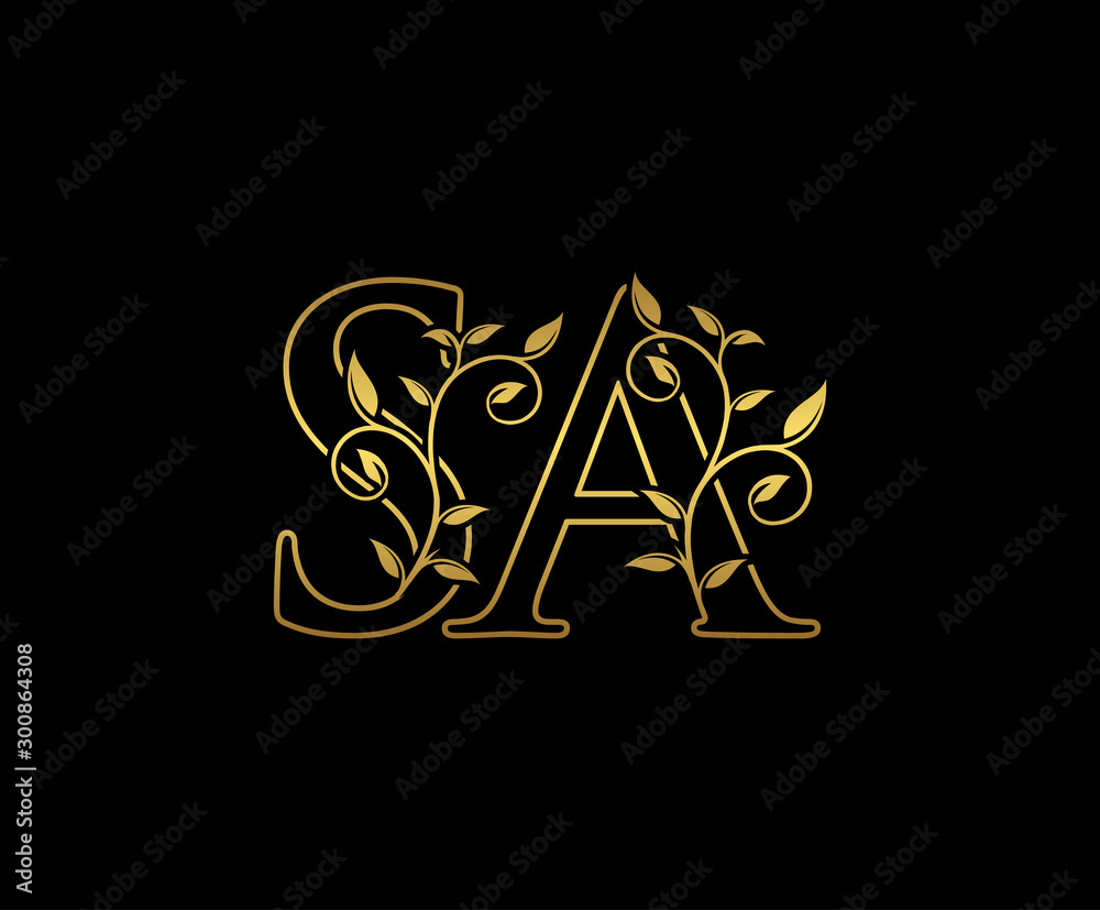 Staggered Luxury Vintage Black and White Pattern with Shiny Gold Euro Sign,  Gold Chains, Beads. Stock Vector - Illustration of background, ornament:  250398007