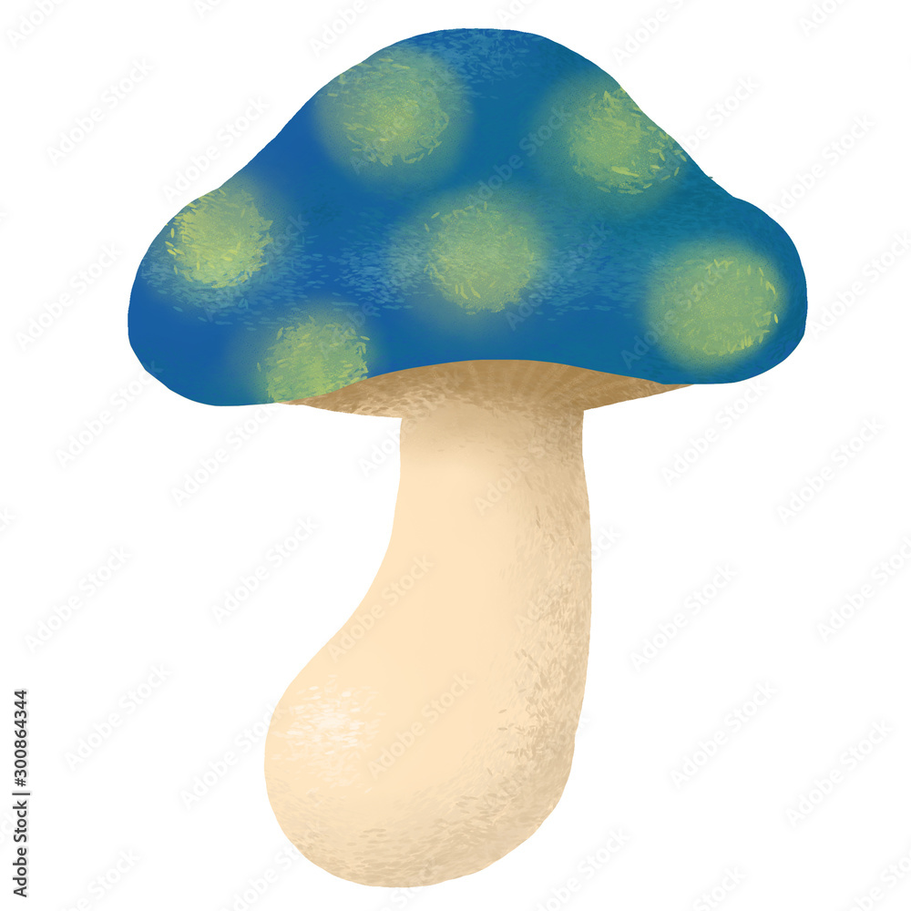きのこ キノコ 毒きのこ 森 Stock Illustration Adobe Stock
