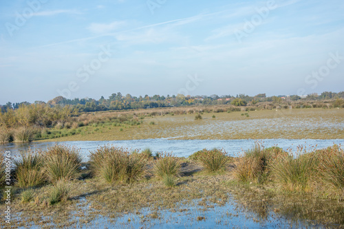 camargues