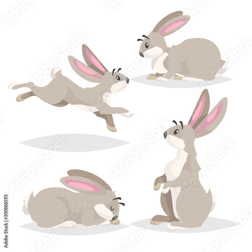 Cute cartoon rabbits set. Different poses farm and wild animals collection. Sitting, running, sleeping and staying poses. Comic style. Vector illustrations.