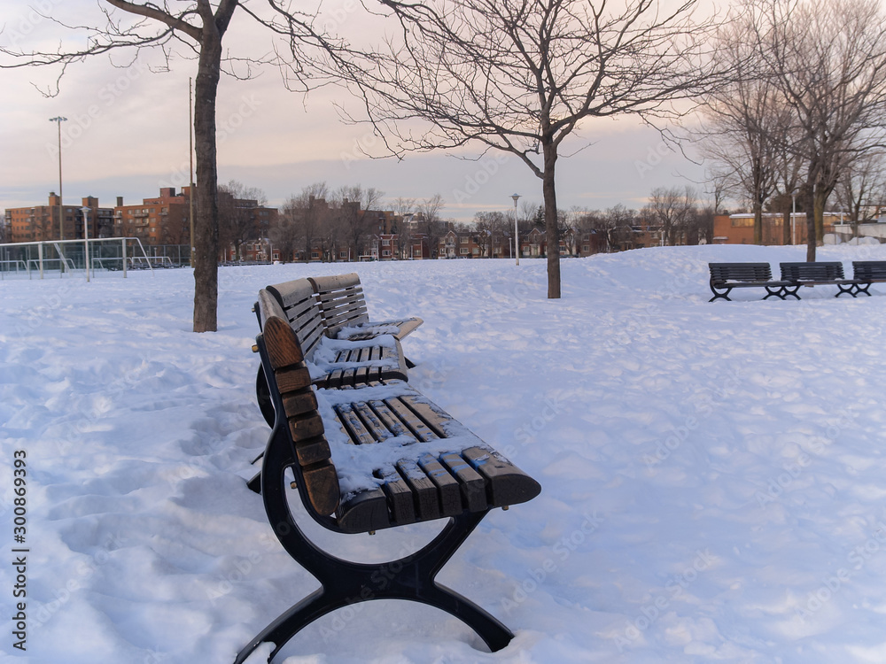 snowy wooden benches