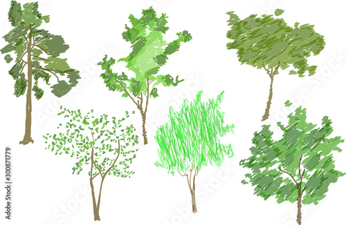 sx green colored tree sketches on white