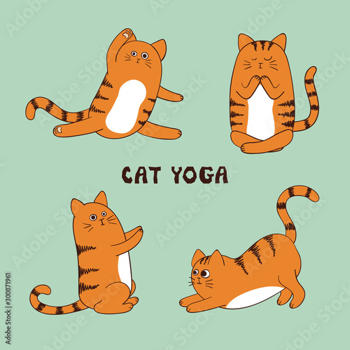 Cartoon funny yoga cat vector illustration. Animal fitness set for kids