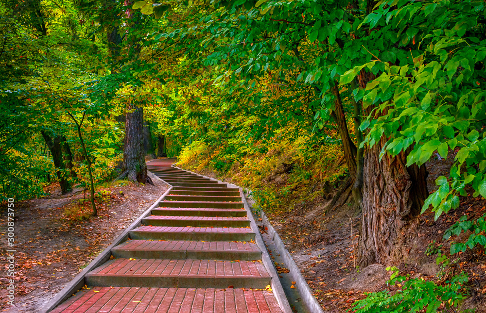 The park. Forest. Scenery. Nice autumn day. Steps leading into the depths of the park. Stroll. The park. Forest. Scenery. Nice autumn day. Steps leading into the depths of the park. Stroll.