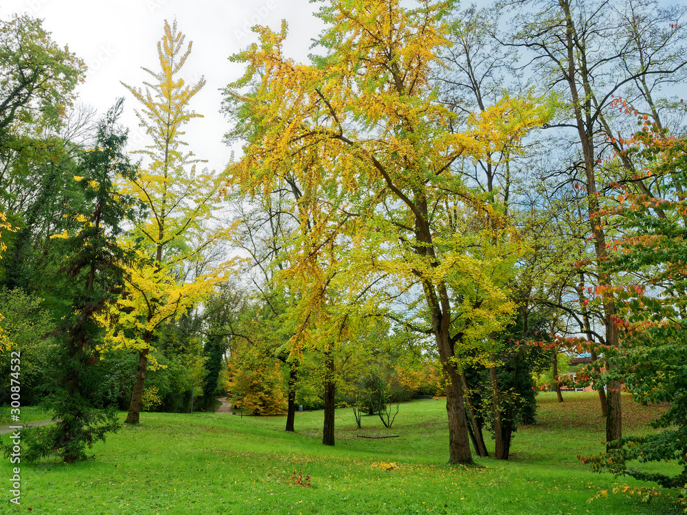 Herbstlandschaft im Margräflerland Südschwarzwald. Bad Bellingen. Wundervolle Parkatmosphäre zu genießen in Botanischer Garten und Kurpark