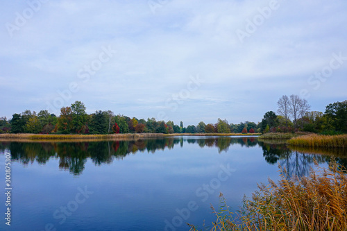 beautiful lakeside with trees and refelctions in autumn