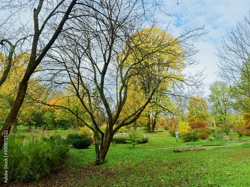 Herbstfarbe im Kurpark und Botanischer Garten von Bad Bellingen in S  dschwarzwald