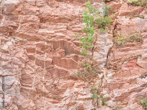 Multi-layered lime and feric lines in wall surface of mine photo