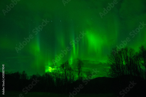 Fototapeta Naklejka Na Ścianę i Meble -  amazing northern lights at norvegian night