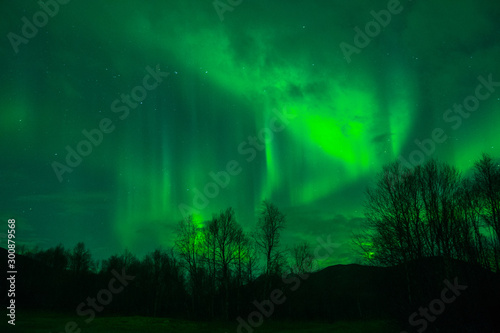 amazing northern lights at norvegian night