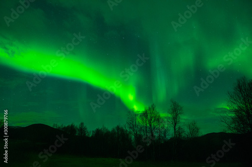 amazing northern lights at norvegian night © jon_chica