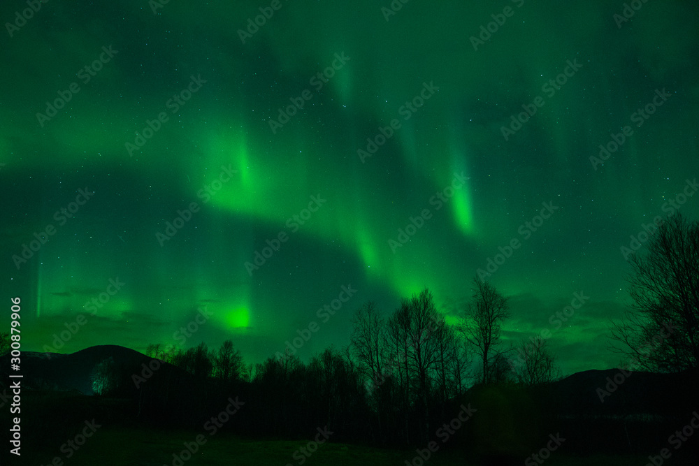 amazing northern lights at norvegian night amazing northern lights at norvegian night