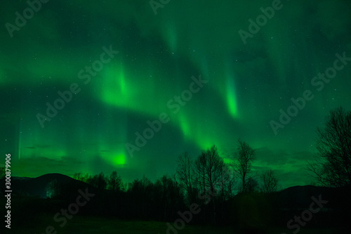 amazing northern lights at norvegian night