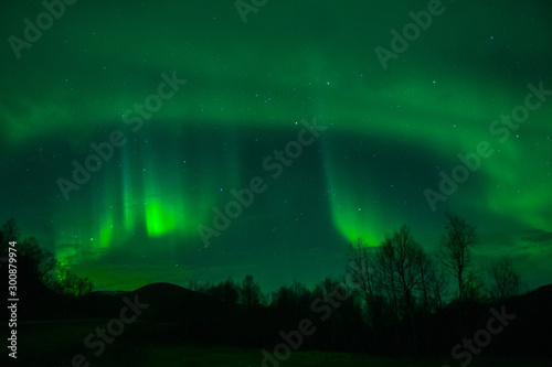amazing northern lights at norvegian night © jon_chica
