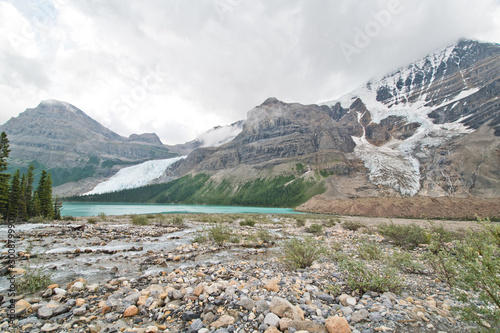 Berg lake trail in Mt. Robson provincial park