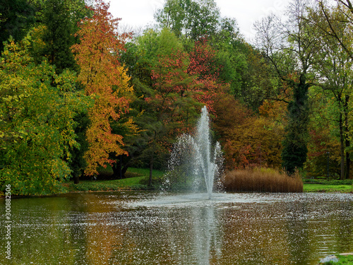 Kurpark von Bad Bellingen in S  dschwarzwald. Wasserstrahl mitten in einem kleinen Teich mit Eichen  Ahorn und Nadelb  umen mit herbstfarben