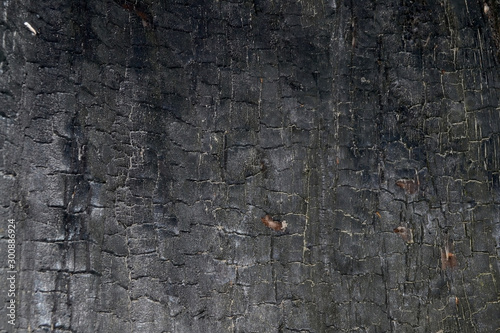 Background with burnt wood texture. Black charred wood background.
