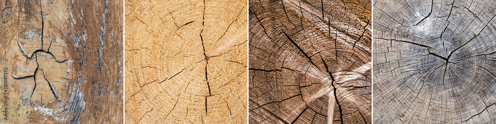 Fototapeta premium collection of 4 old wood surface textures