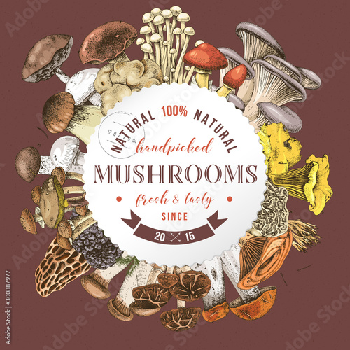 Background with round label and type design over hand drawn edible mushrooms