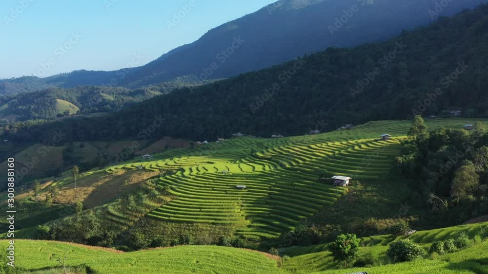 Aerial shot of the marvelous teraces rice field in mountains during sunset in Thailand. Beautiful Pa Bong Piang terraced rice fields, Mae Chaem, Chiang Mai Thailand in harvest season.