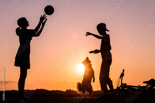 Girl playing with ball, boy feeding dog in nature, bicycle lies nearby, silhouettes of children at sunset in countryside