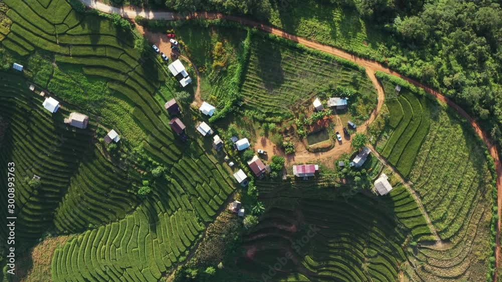 Aerial shot of the marvelous teraces rice field in mountains during sunset in Thailand. Beautiful Pa Bong Piang terraced rice fields, Mae Chaem, Chiang Mai Thailand in harvest season.