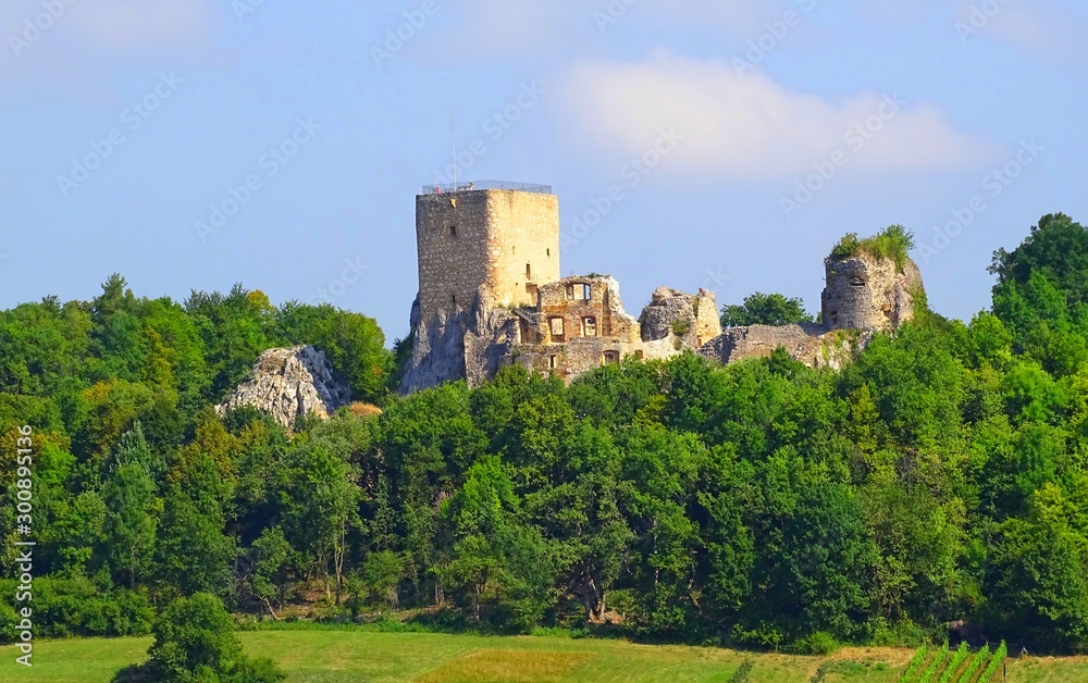 Europe, France, Haut-Rhin, Grand-Est, Leymen, Château de Landskron