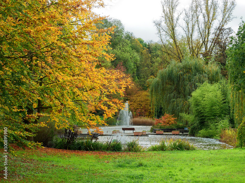 Kurpark von Bad Bellingen in S  dschwarzwald. Wasserstrahl mitten in einem kleinen Teich mit Eichen  Ahorn und Nadelb  umen mit herbstfarben