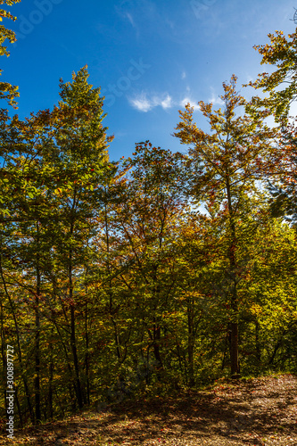 Colores de los arboles en otoño