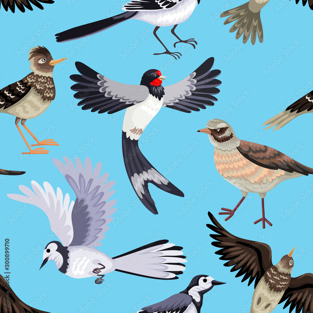 Obraz premium Seamless pattern from various migratory birds. Feathered animals.
