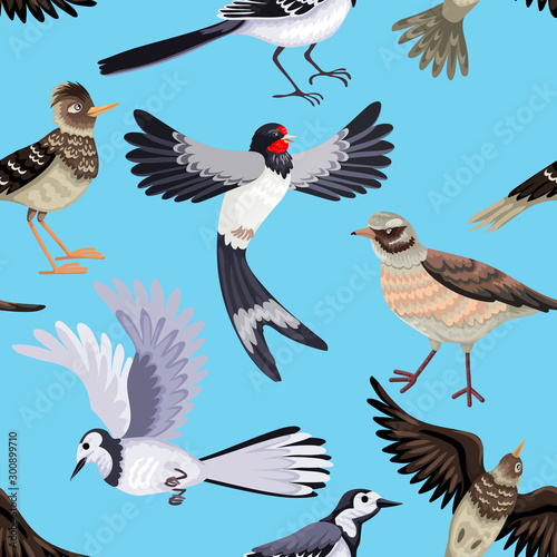 Bilde på lerret Seamless pattern from various migratory birds. Feathered animals.