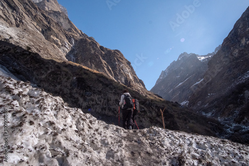Fototapeta Naklejka Na Ścianę i Meble -  Trekker on the way to Annapurna base camp. Nepal