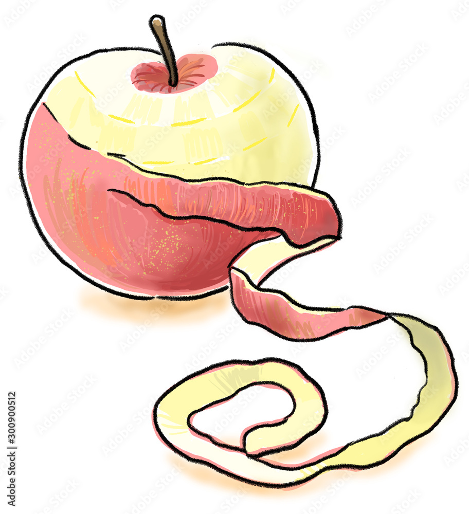 手描き りんご 皮むき イラスト Stock イラスト Adobe Stock