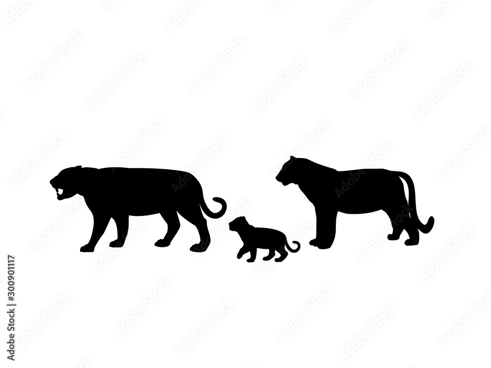 Tiger family. Silhouettes of animals