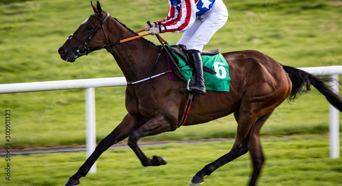 Horse racing action, close up panning motion blur effect on race horse and jockey racing