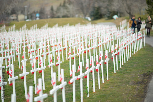 Field of crosses to mark canada's remembrance day photo