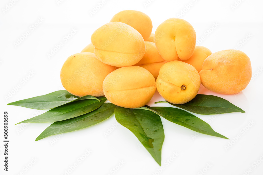 fresh apricot isolated on white background fresh apricot isolated on white background