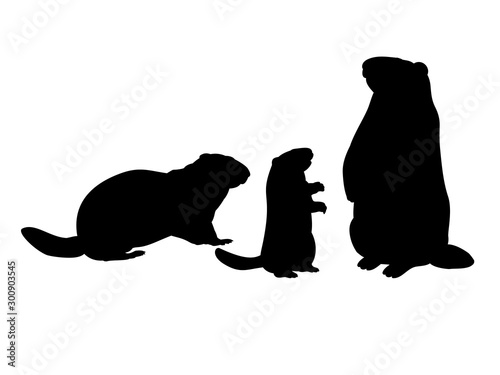 Groundhog family. Silhouettes rodent of animals
