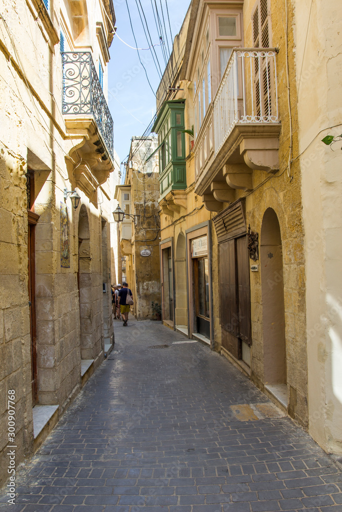 the fort of Mdina in Malta 