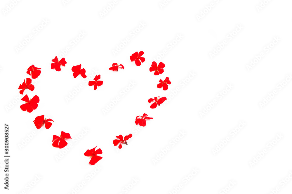 heart pattern of red natural flowers geranium on a white background