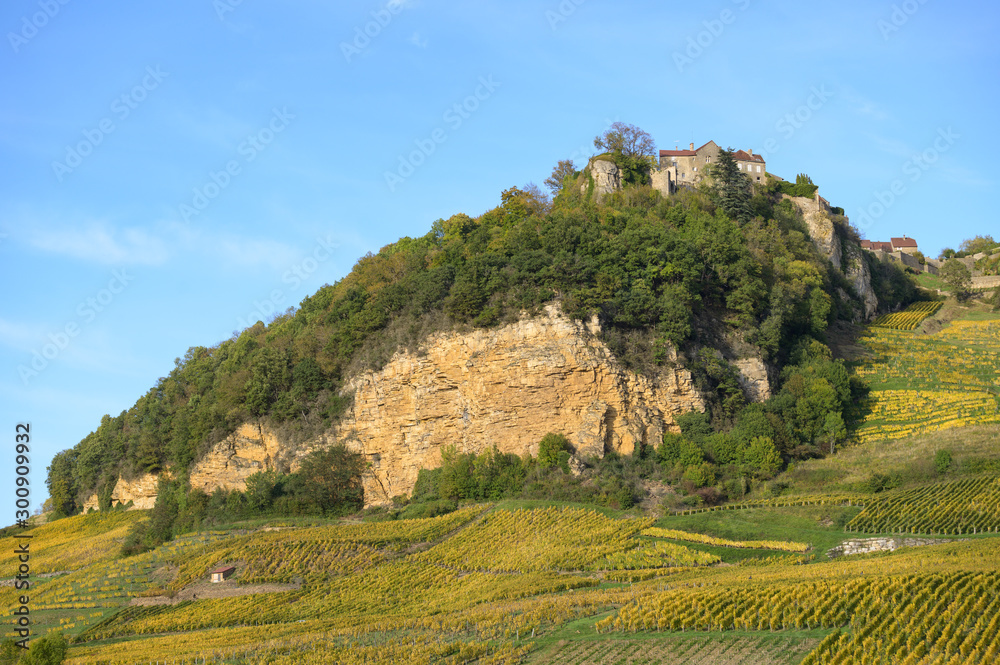 Vineyards near Chateau Chalon, Departement Jura, Franche-Comte, France