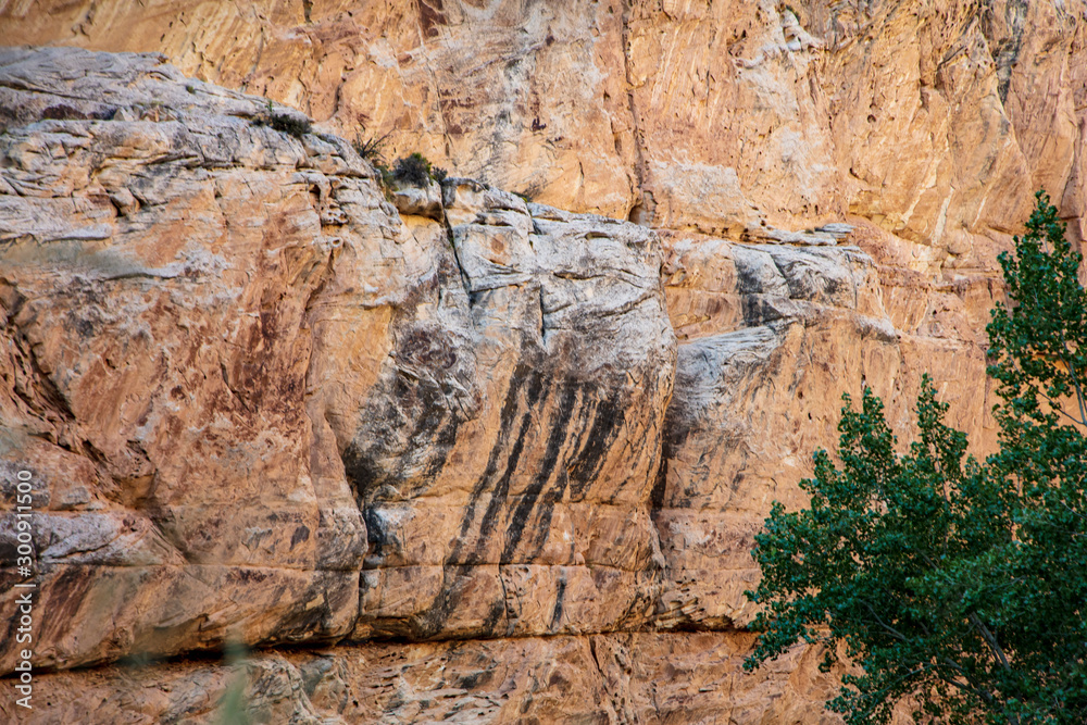 Hog Canyon trail in Dinosaur National Monument affords an up-close-and-personal view of the craggy Weber Sandstone that make up the canyon's walls