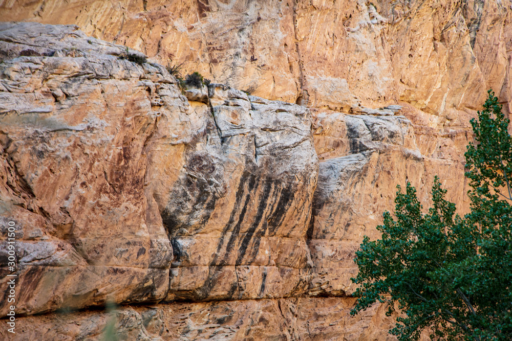 Hog Canyon trail in Dinosaur National Monument affords an up-close-and-personal view of the craggy Weber Sandstone that make up the canyon's walls Hog Canyon trail in Dinosaur National Monument affords an up-close-and-personal view of the craggy Weber Sandstone that make up the canyon's walls